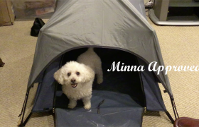 RORAIMA Pop-up Dog Tent