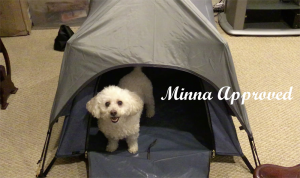 RORAIMA Pop-up Dog Tent