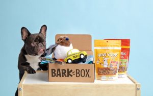 BarkBox - for dog 'parents' who truly love to spoil their pups.